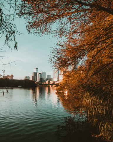 Austin skyline with golden autumn trees reflected in Lady Bird Lake