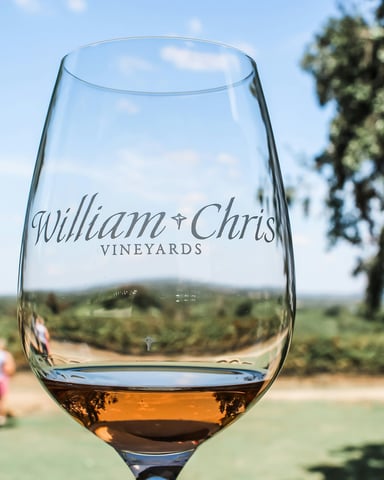 William Chris Vineyards wine glass held up against vineyard rows and blue sky in Hye, Texas