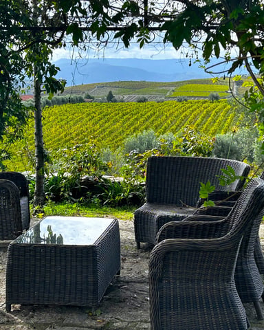 Winery patio with rattan chairs overlooking green vineyard rows