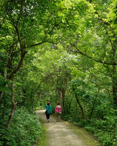 Two people walking along a shaded green trail canopied by lush trees