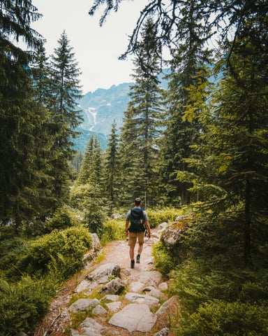 Hiker walking through bright green pine forest toward mountain peaks