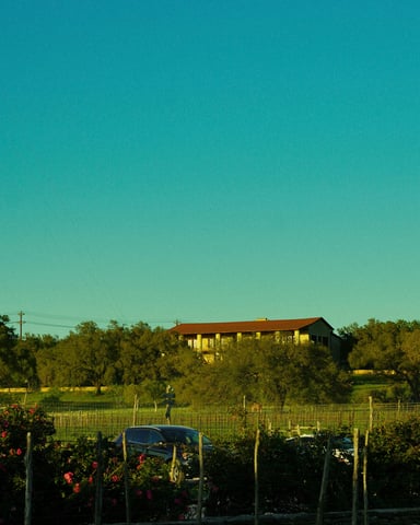 Vineyard rows with a winery building on a hill at golden hour, Hill Country Texas