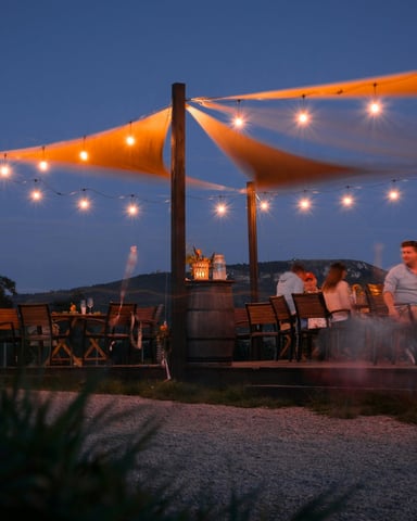 Outdoor winery patio at dusk with wine barrels, string lights, and sail shade canopy