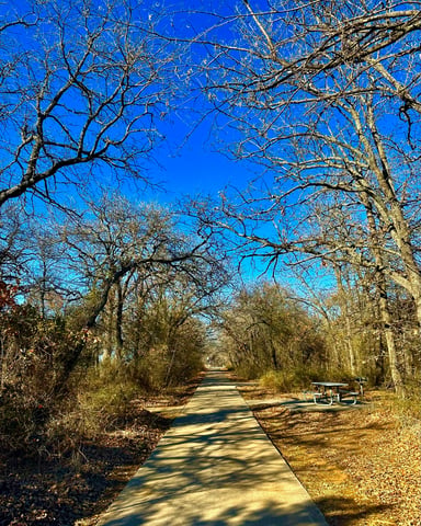 Wide paved trail through bare Texas live oak trees under a vivid blue sky with a picnic table visible