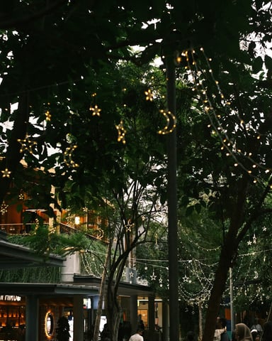 Tree-lined shopping promenade at night with fairy lights strung through the canopy and shops glowing behind