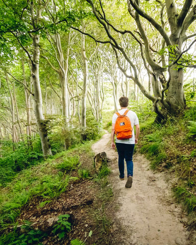 Person with orange backpack and dog walking a lush green forest trail with dappled light through the trees