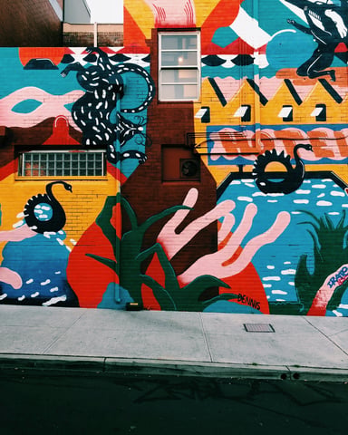 Bold colorful street art mural with snakes, swans, and tropical shapes on a brick building