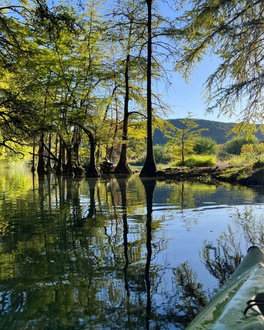 Kayak paddling through cypress trees on a glassy Texas Hill Country river
