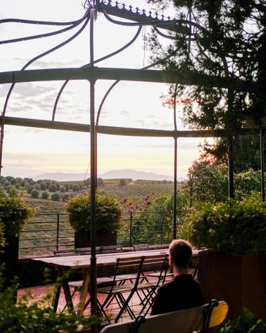 Person sitting under a wrought-iron gazebo overlooking vineyard rows at sunset