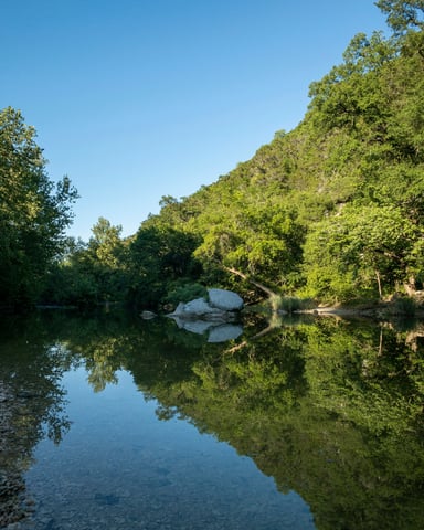 Still water reflecting trees at Barton Creek Greenbelt, Austin