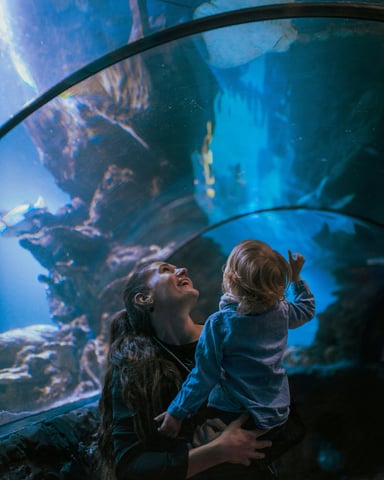 Mother holding toddler pointing up at fish in a glowing blue aquarium tunnel