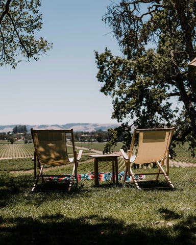 Two chairs overlooking vineyard rows under a clear blue sky