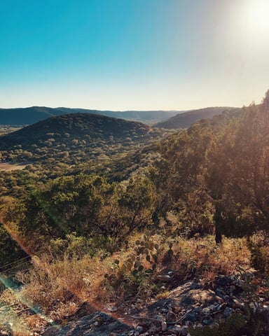 Rolling cedar hills and prickly pear cactus in the Texas Hill Country at sunset