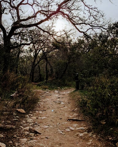Rocky dirt trail winding through twisted live oaks in the Texas Hill Country
