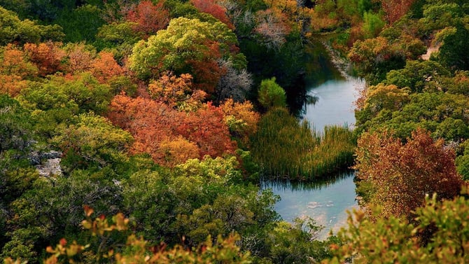 Austin This Fall? A Road Trip to the Best Foliage and Festivals in the Hill Country