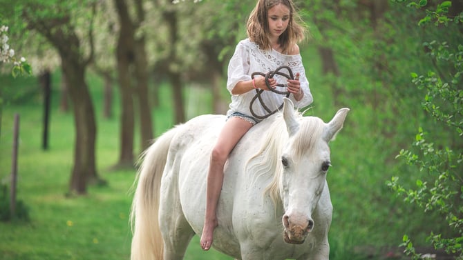 Dripping Springs Ranch Park