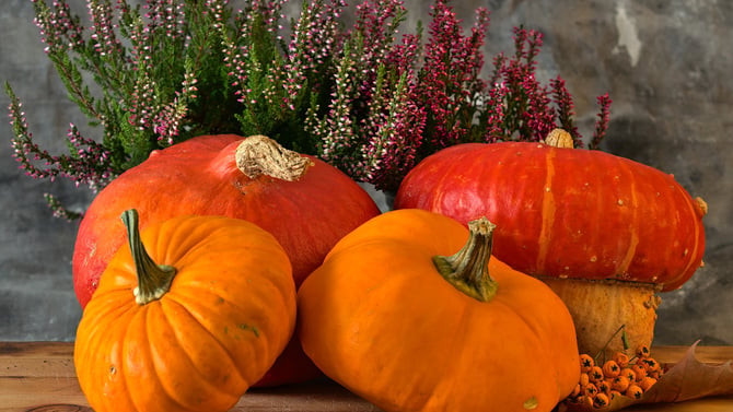 Halloween in Dripping Springs