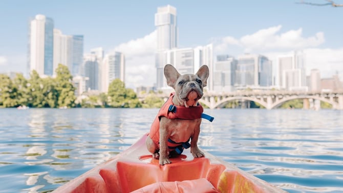 Plan your Summer Getaway to Austin Texas Today!