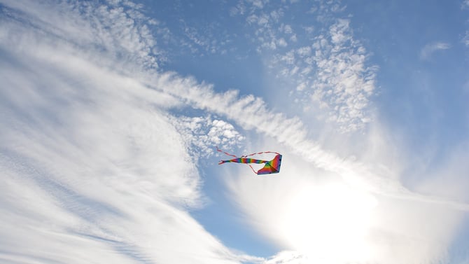 Explore the Competitive ABC Kite Fest