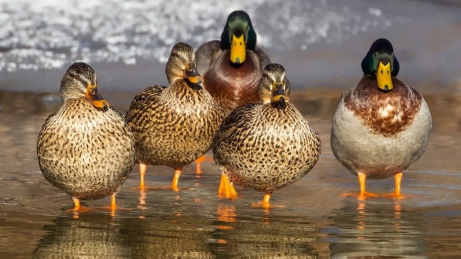 Experience Fun Family Things to Do in Austin