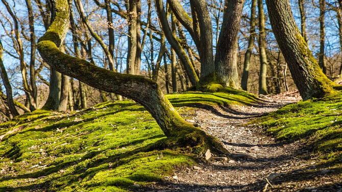 Explore the Wonderful Barton Creek Greenbelt