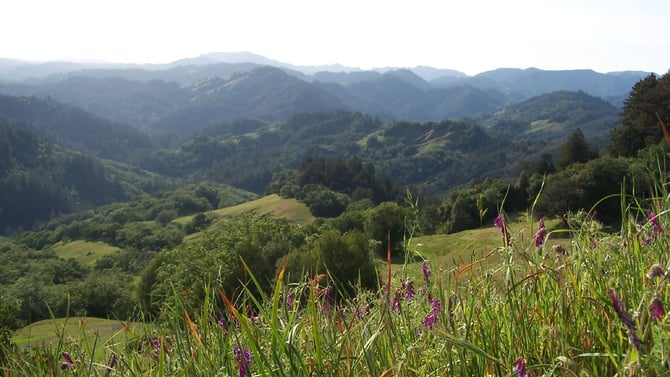 Explore the Top Hiking Trails in Austin