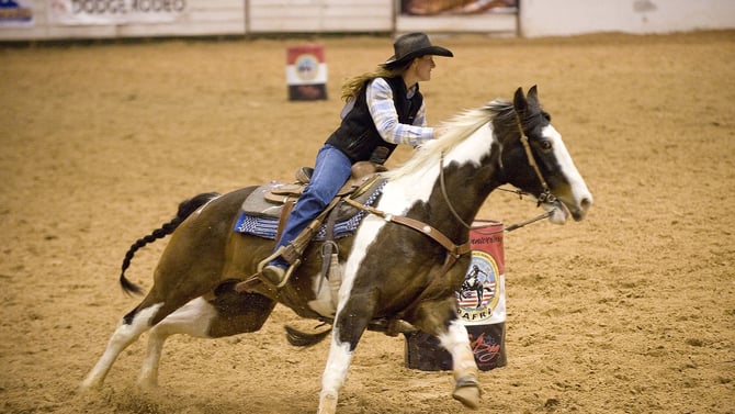 Come and Enjoy These 3 Upcoming Austin Festivals