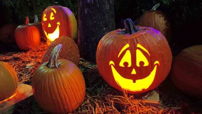 Enjoy the Best Halloween Events in Austin