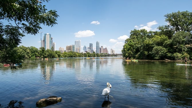 Enjoy These Spring Activities in Austin