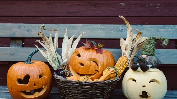 Best Places to Trick-or-Treat in Dripping Springs