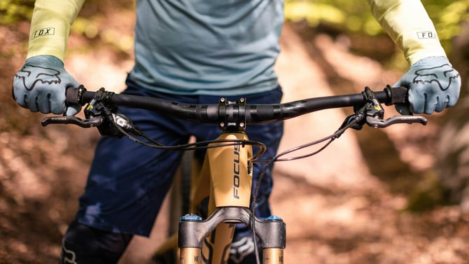 Experience the Incredible Lady Bird Lake Bike Tour