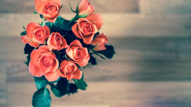 Romantic Activities for Valentines Day in Austin for 2020
