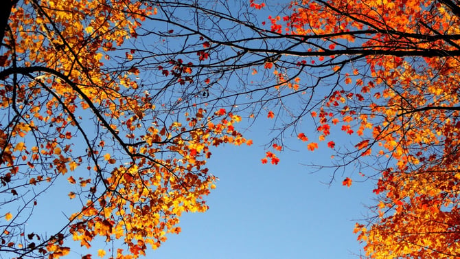 Fall Things to Do in Austin