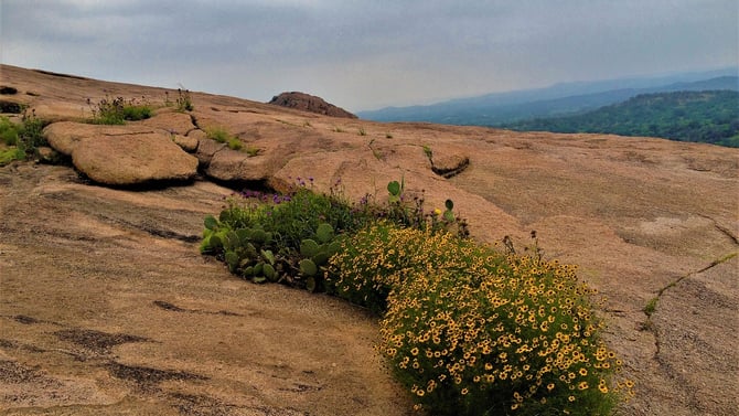 Explore These Natural Attractions