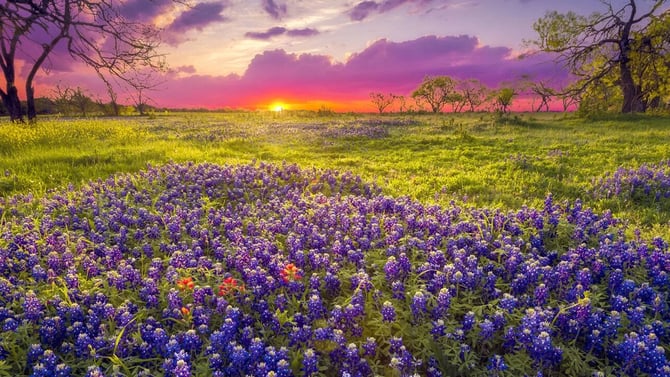 When is the Best Time to Visit Dripping Springs?